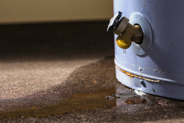 Best Water damage restoration near me  in Remlap, AL