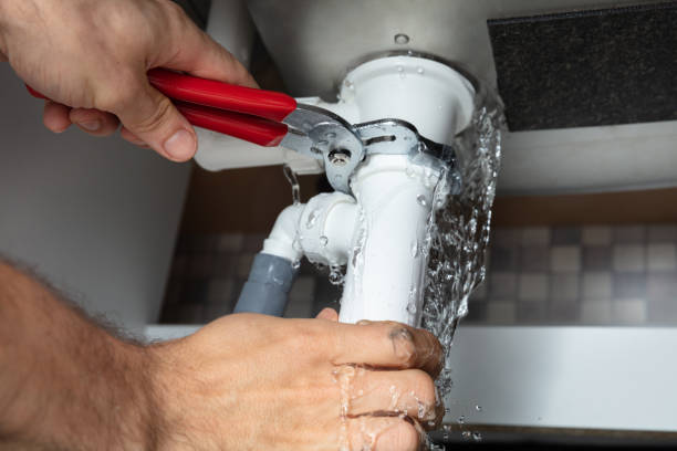 Best 24-hour water damage restoration  in Remlap, AL