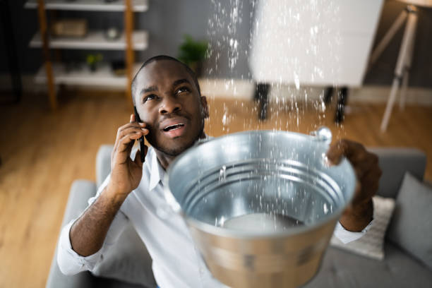 Professional Water damage restoration in AL