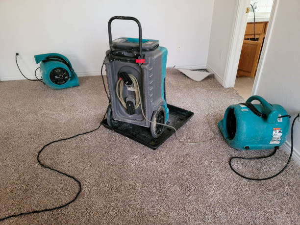 Best Water damage restoration process  in Remlap, AL