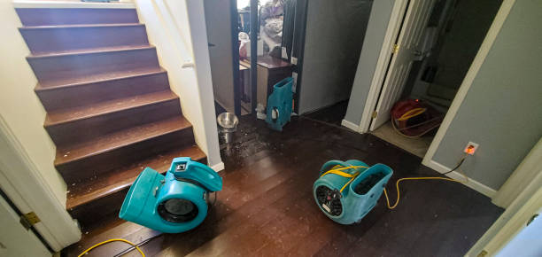 Best Water damage cleanup near me  in Remlap, AL