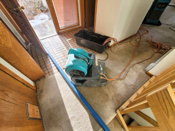 Best Mold removal after water damage  in Remlap, AL
