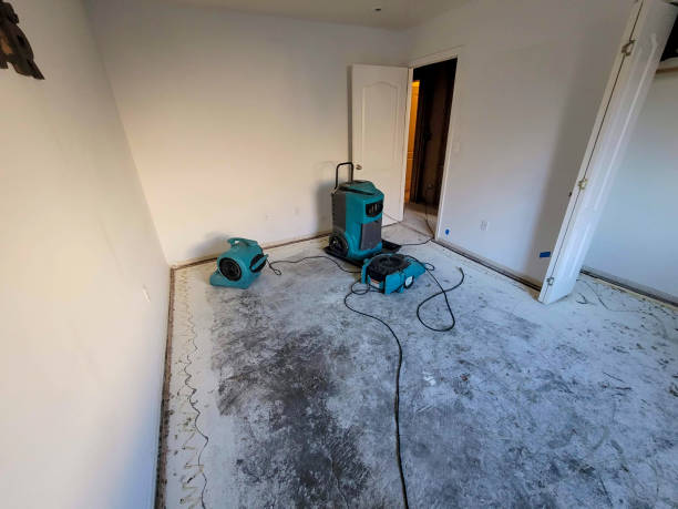 Best Flood restoration services  in Remlap, AL