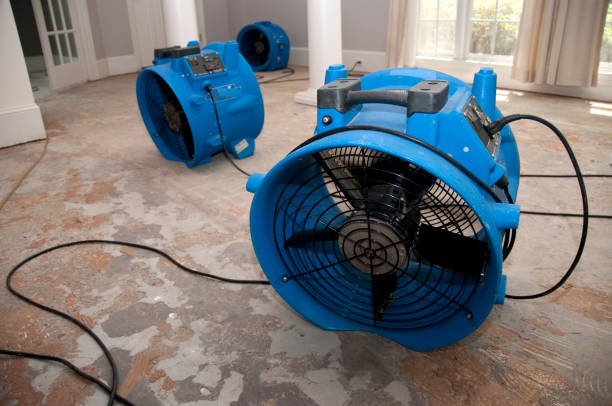 Best Water damage restoration specialists  in Remlap, AL