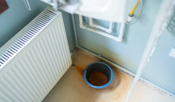 Best Local water damage restoration  in Remlap, AL
