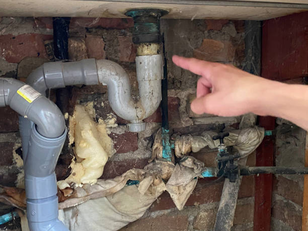 Best 24/7 water damage repair  in Remlap, AL