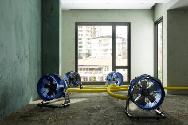 Best Commercial water damage restoration  in Remlap, AL